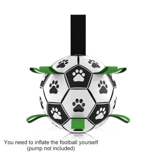 Interactive Pet Ball