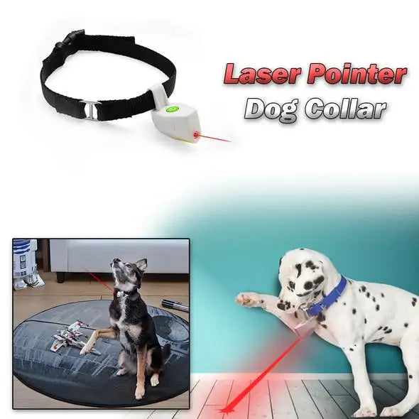 Laser Pointer Collar