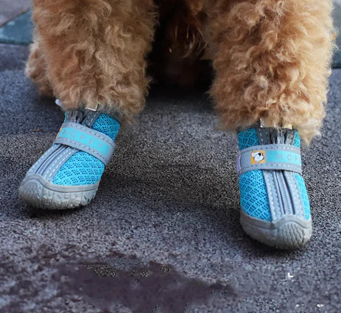 Pet Shoes